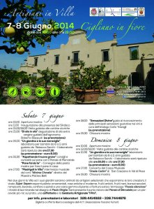 Artigiani in Villa 2014_cartolina